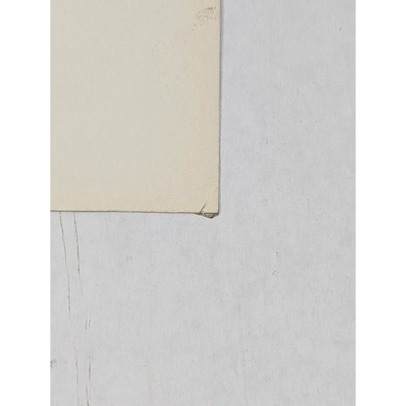 Vintage Postcard Richard Nixon & Agnew 1972 Political Advertising Playing Piano - Picture 8 of 8